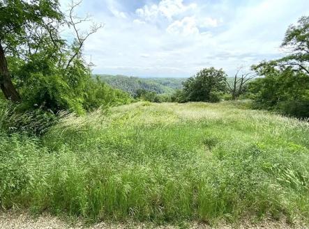 Nebovidy od cesty.jpg | Prodej - pozemek pro bydlení, 2 500 m²