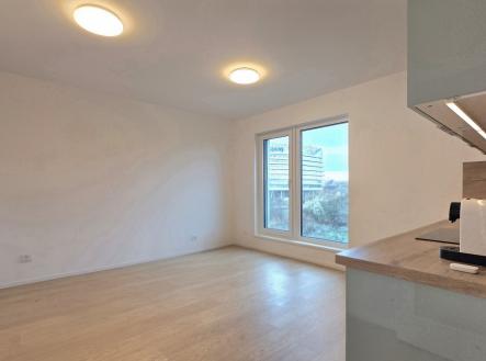 Pronájem bytu, 1+kk, 25 m²