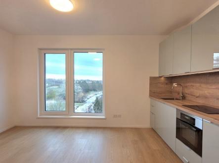 20251121_090810(1) | Pronájem bytu, 1+kk, 25 m²