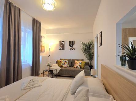 20260115_121022 | Pronájem bytu, 1+1, 31 m²