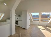 Pronájem bytu, 1+kk, 48 m²