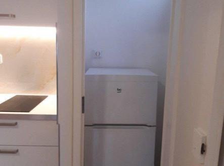 5918028600030465585.jpg | Pronájem bytu, 1+kk, 29 m²