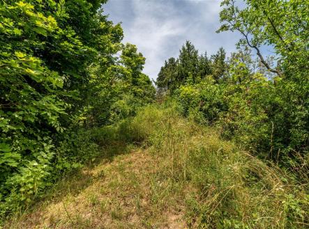 . | Prodej - pozemek, zahrada, 529 m²