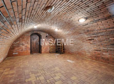 Historický vinný sklep s klenutým cihlovým stropem, zděné stěny a dlažba. Ideální prostor pro skladování vína nebo společenské akce. | Prodej - dům/vila, 329 m²
