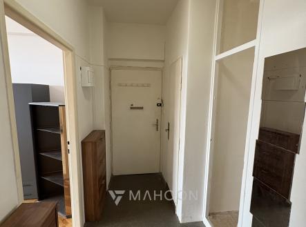 IMG_0956 | Pronájem bytu, 1+kk, 30 m²