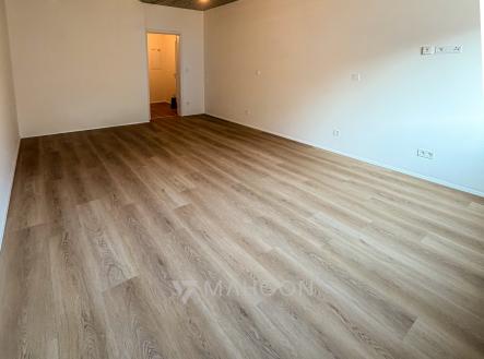 IMG_2498 | Pronájem bytu, 1+kk, 37 m²