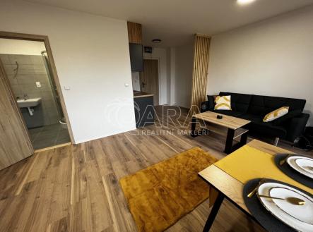 fotografie | Pronájem bytu, 1+kk, 31 m²