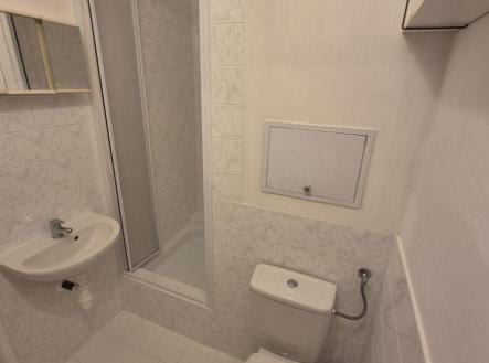 koupelna.jpeg | Pronájem bytu, 1+kk, 22 m²