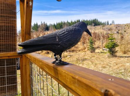 Prodej - pozemek, ostatní, 12 118 m²