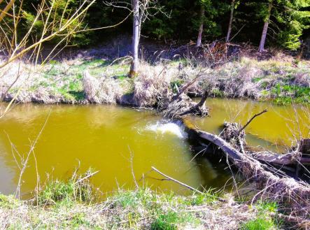 Prodej - pozemek, ostatní, 12 118 m²