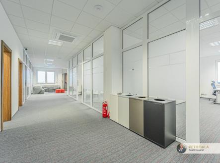 Pronájem - kanceláře, 258 m²