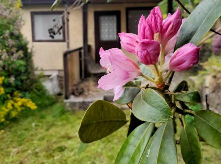 Fotka 3 | Prodej - chata/rekreační objekt, 28 m²