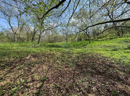 Prodej - pozemek, zahrada, 619 m²