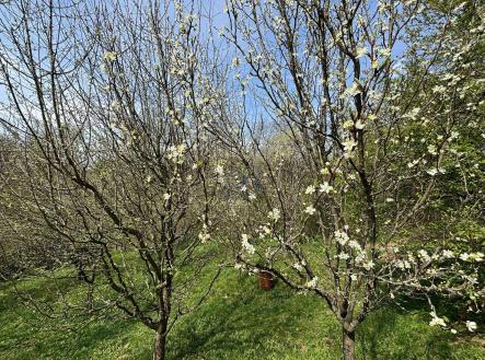 Prodej - pozemek, zahrada, 619 m²