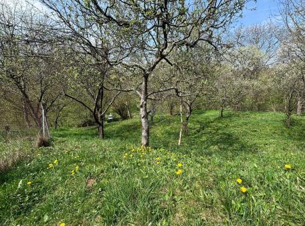 Prodej - pozemek, zahrada, 619 m²