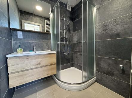 koupelna se sprchovým koutem | Pronájem bytu, 3+1, 63 m²