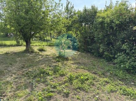 Prodej - pozemek, zahrada, 880 m²