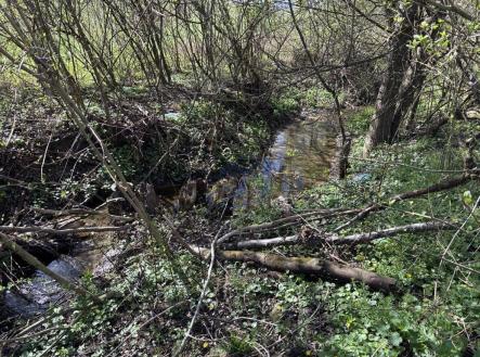 Prodej - pozemek, zahrada, 2 426 m²