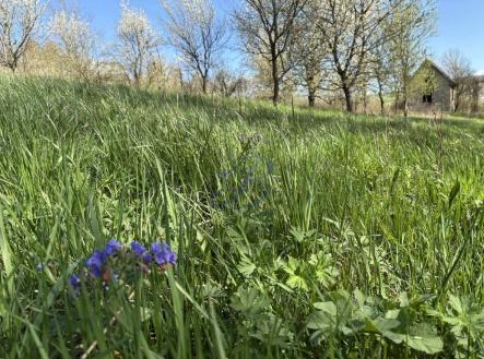 Prodej - pozemek, zahrada, 2 426 m²