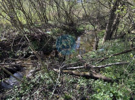 Prodej - pozemek, zahrada, 2 426 m²