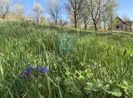 Prodej - pozemek, zahrada, 2 426 m²