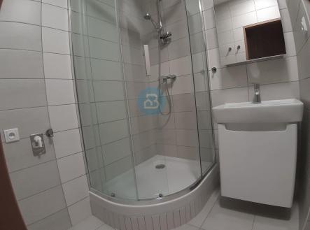Pronájem bytu, 3+1, 58 m²