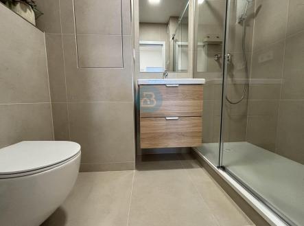 Pronájem bytu, 2+1, 57 m²