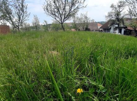 Prodej - pozemek pro bydlení, 681 m²
