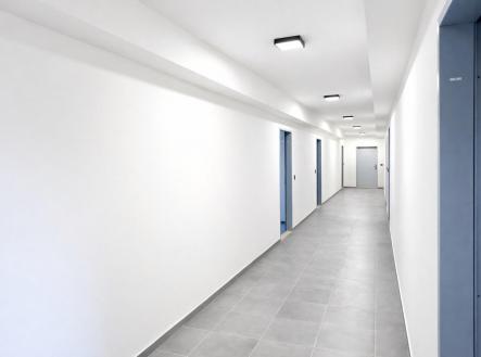 společná chodba.jpeg | Pronájem bytu, 1+kk, 26 m²