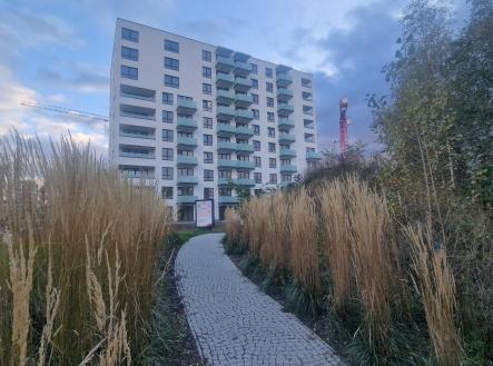 20251024_165027.jpg | Prodej bytu, 3+kk, 80 m²