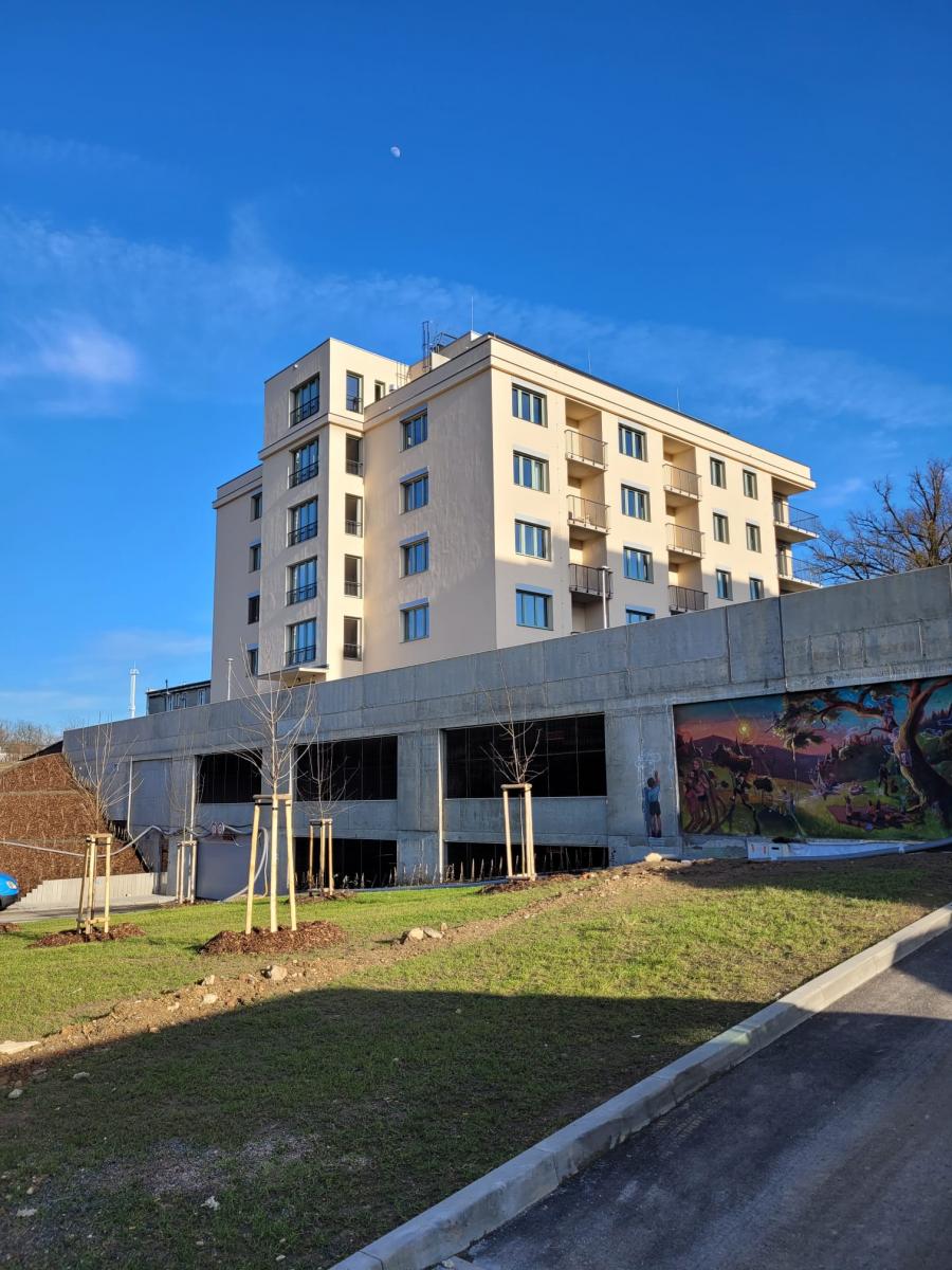 WhatsApp Image 2026-02-26 at 19.14.03.jpeg