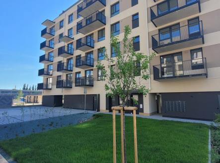20260608_102723.jpg | Prodej bytu, 1+kk, 38 m²