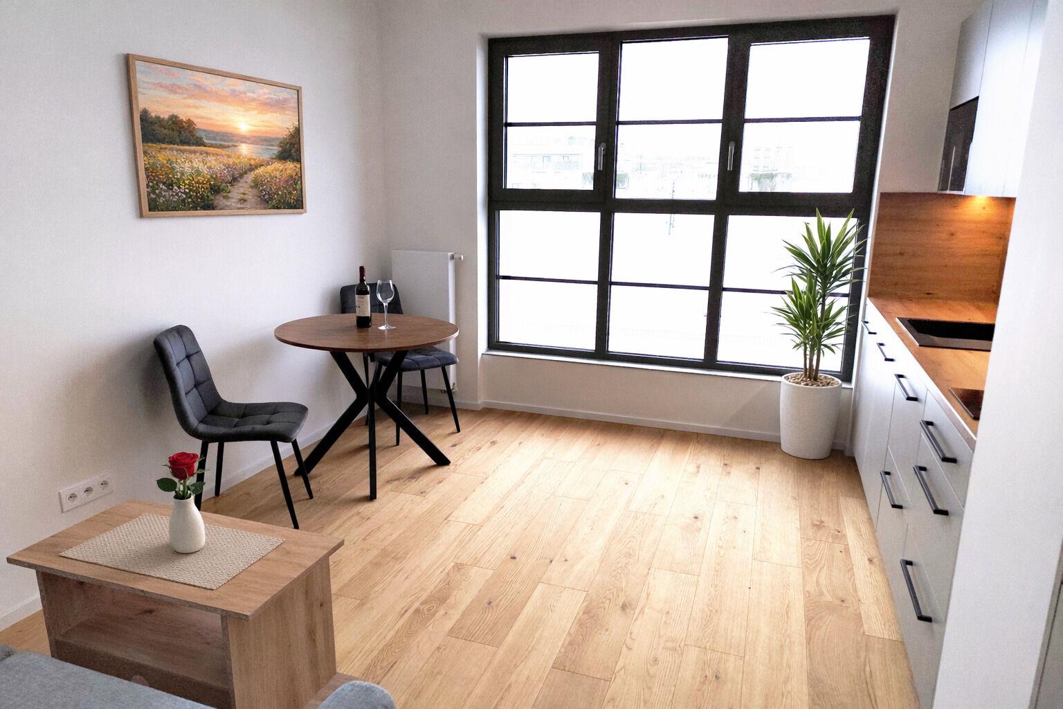 Pronájem bytu 1+kk v Brně