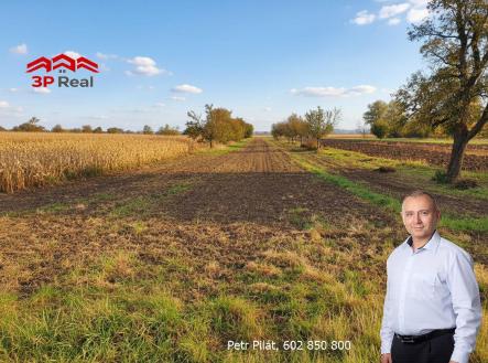 Prodej - pozemek, zahrada, 1 564 m²