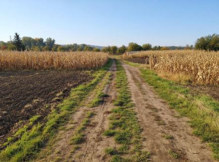 Prodej - pozemek, zahrada, 1 564 m²