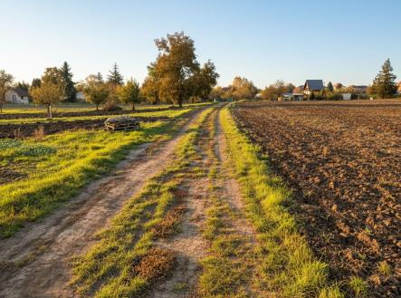Prodej - pozemek, zahrada, 1 564 m²
