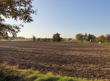 Prodej - pozemek, zahrada, 1 564 m²