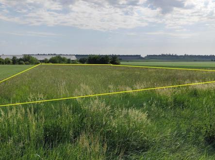 Prodej - pozemek pro bydlení, 6 890 m²