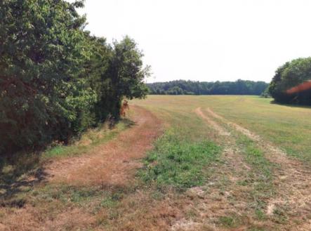 Bez popisku | Prodej - pozemek, zemědělská půda, 12 605 m²