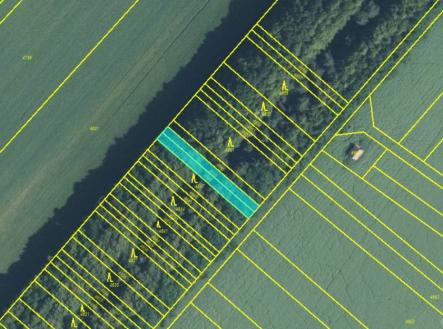 Bez popisku | Prodej - pozemek, les, 1 885 m²