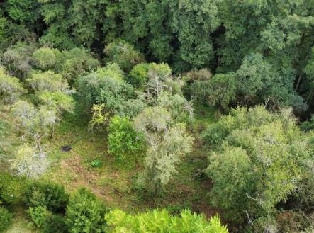 3 | Prodej - pozemek, zahrada, 1 984 m²