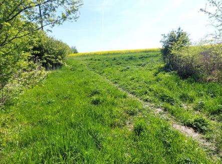 IMG-20250430-WA0000 | Prodej - pozemek, ostatní, 308 m²