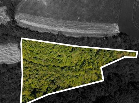 DJI_20260526120040_0486_D-obrys | Prodej - pozemek, zahrada, 8 724 m²