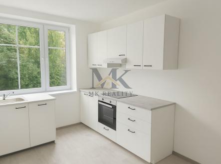 file-00000000ceac620ab8c9101cd4952f7c.png | Pronájem bytu, 1+1, 59 m²