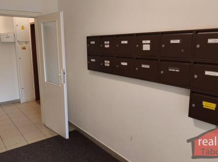 IMG_20251027_115913.jpg | Prodej bytu, 3+kk, 69 m²