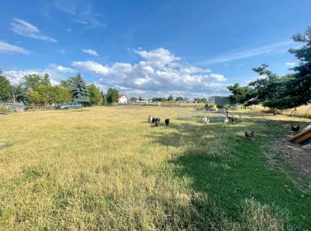 IMG_6664.jpg | Pronájem - pozemek, zahrada, 2 148 m²