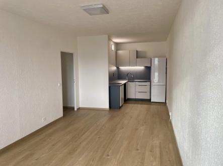 IMG_2163.JPEG | Pronájem bytu, 2+kk, 53,8 m²