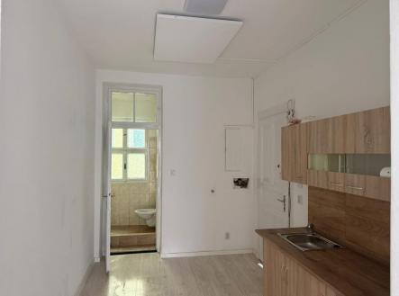 8006f7e4-66fb-4901-b4e9-2548affdee8d.JPG | Pronájem bytu, 1+1, 25 m²