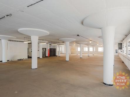 003.jpg | Pronájem - skladovací prostor, 770 m²
