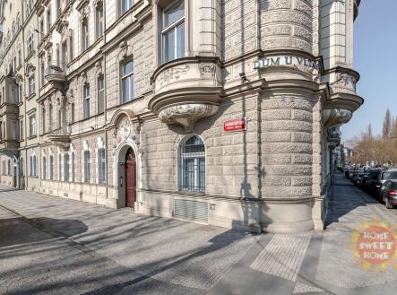 017.jpg | Pronájem - kanceláře, 187 m²
